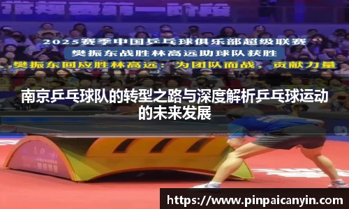 南京乒乓球队的转型之路与深度解析乒乓球运动的未来发展